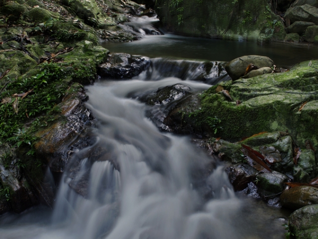 a rocky waterfall with pines and a blue sky